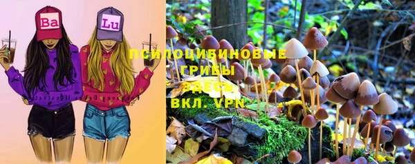 гидропоника Вязьма