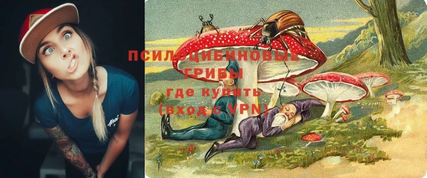 ECSTASY Володарск