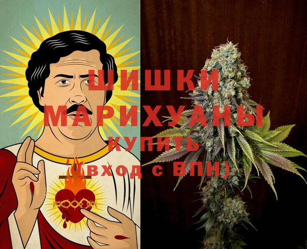 сатива Волоколамск