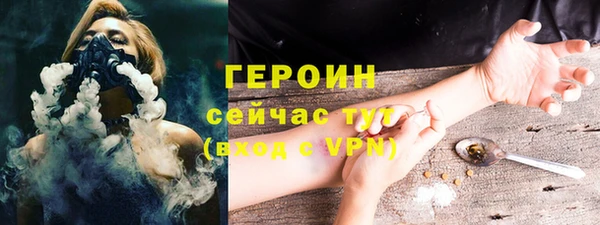 сатива Волоколамск
