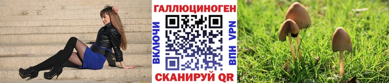 как найти закладки  Махачкала  mega ссылки  Псилоцибиновые грибы Psilocybine cubensis 